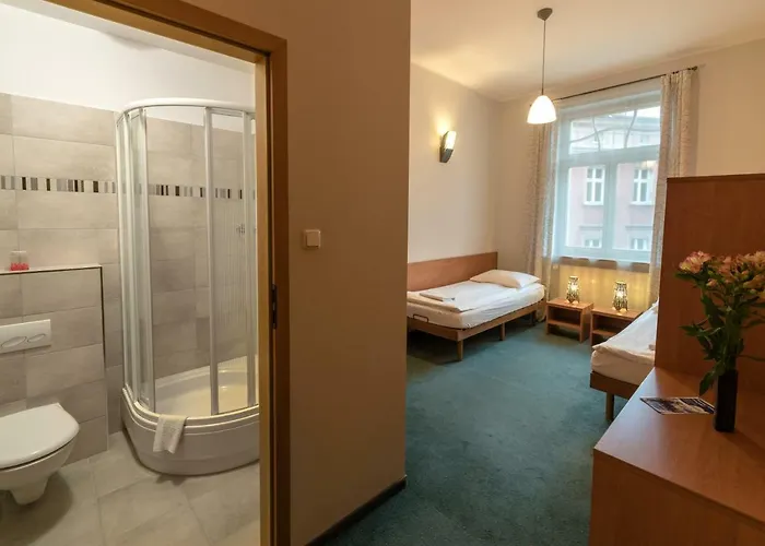 Bed and Breakfast Hill Πόζναν